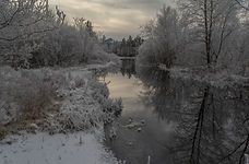Kadholeva