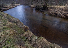 Kaldolelva