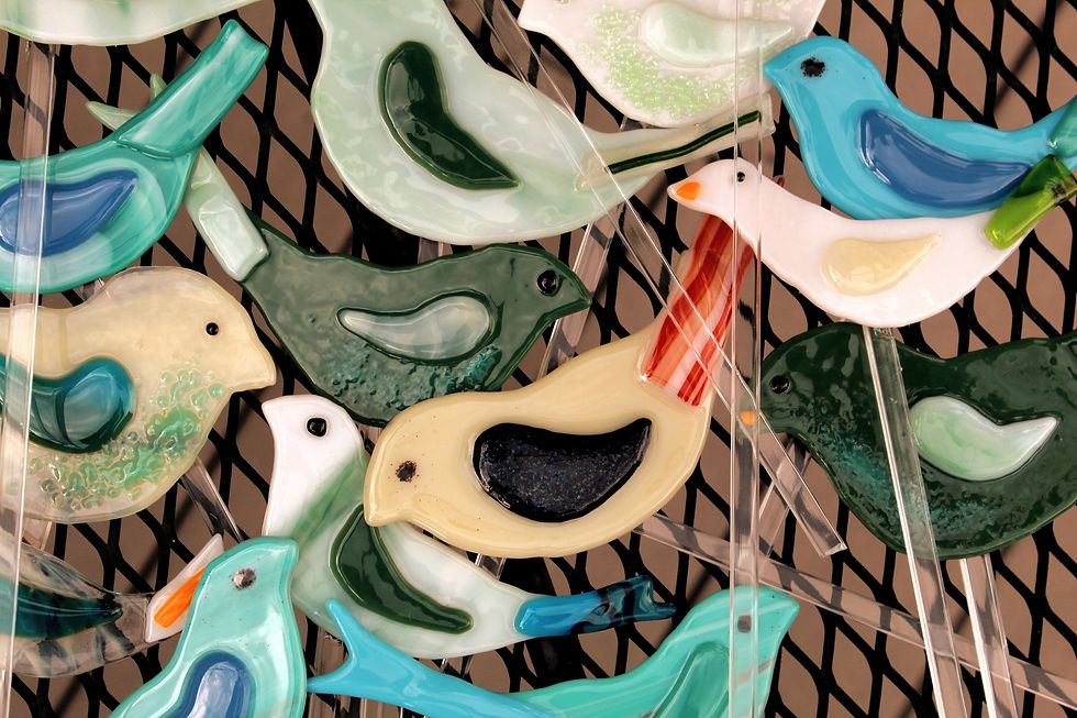 Garden Birds