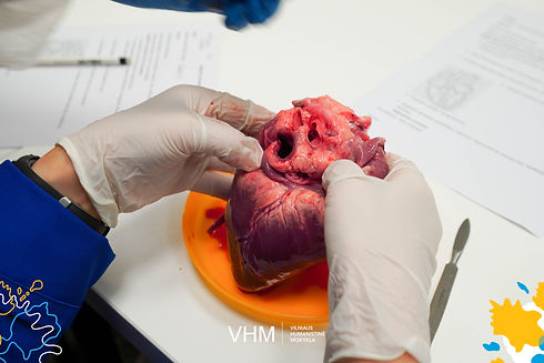 VHM_biologija-3.jpg