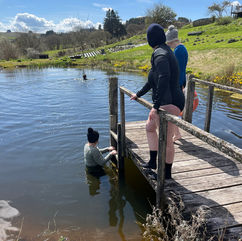 Dipping with friends at a lavendar farm
