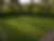 Manicured lawn by landscapers Canberra with hedge border.