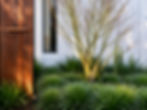 Garden design by landscapers Canberra featuring architectural plants.