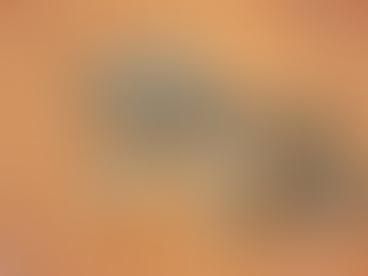 Digital Twin – doar un nume nou sau va dispărea Ingineria Validării?