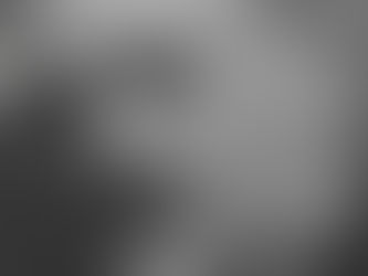 Gheorghe Duca – Standardizarea excelenței (1881-1890)