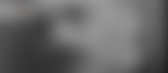 Gheorghe Duca – Standardizarea excelenței (1881-1890)