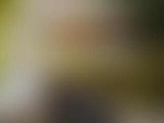 Românii cheltuiesc 80 min euro/an pe echipamente de pescuit