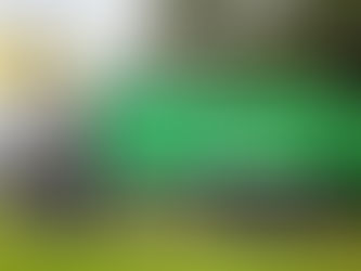 Paul Nutzfahrzeuge: Lider European în Conversii și Vehicule Speciale High-Tech