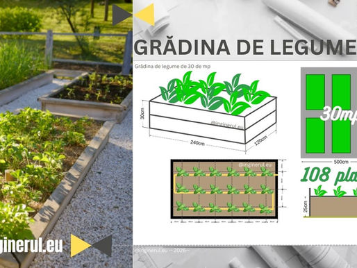 DIY _ Grădină de Legume pe 30 mp: Ghid de Amenajare și Planificare