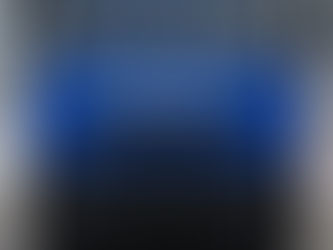 Manifest pentru viitor