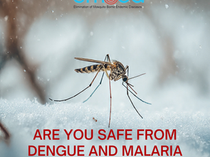 Mosquitoes in Winter: Are Dengue and Malaria Still a Risk?