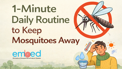 How to Prevent Mosquitoes at Home: 1- Minute Daily Routine (Dengue & Malaria Prevention) 