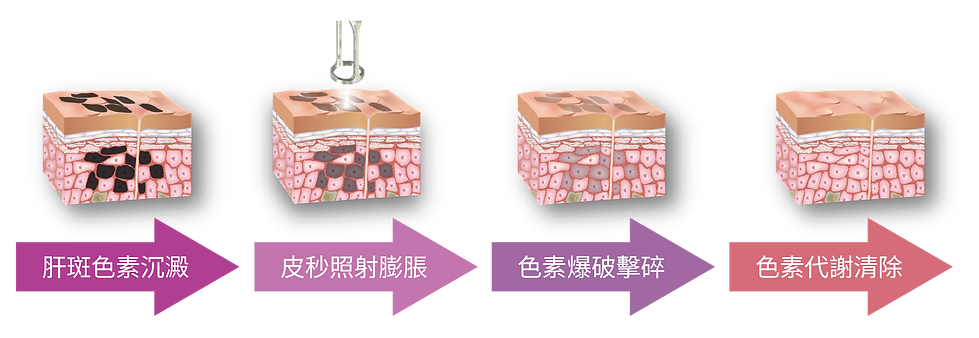 banner_1_工作區域 1 複本 9.png