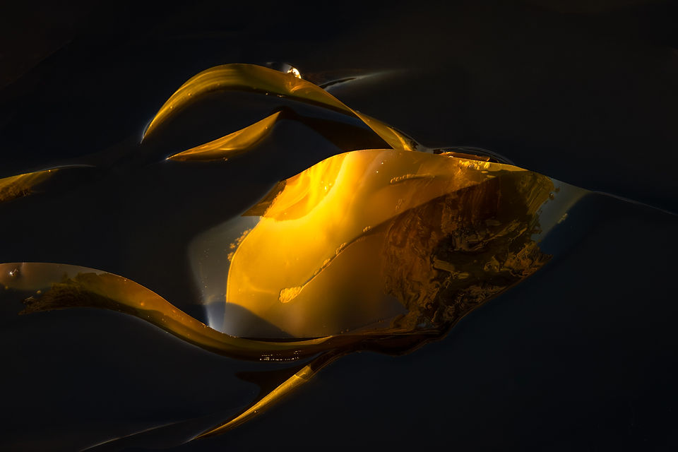 Website 3rd relase fall 2024 (42 of 49).jpg