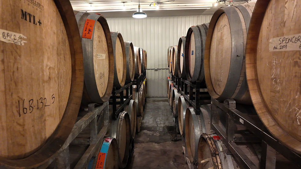 Oak barrels with each grape block ageing in Bachelder Niagara’s “Bat Cave” on March 7, 2026.