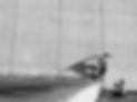 ABOUT-BACKGROUND.jpg