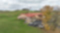 DJI_0359.JPG
