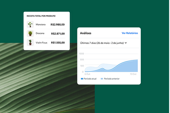 Visualização de um relatório de análise no App Wix Owner