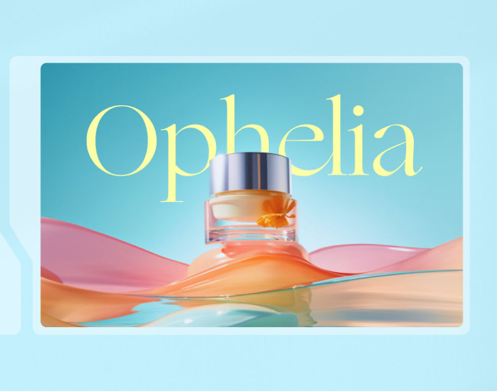 Características de la tienda online.