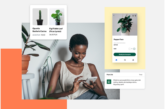 Zdjęcie pokazujące, jak członkowie mogą używać aplikacji Spaces by Wix.