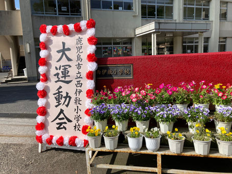 第50回 大運動会