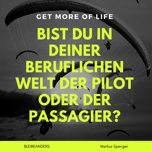 Bist du in deiner beruflichen Welt der Pilot oder der Passagier_.png