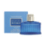 LAURA BIAGIOTTI BLU DI ROMA UOMO EDT 40 ML VAPO