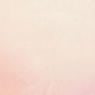 a subtle warm gradient background_edited_edited_edited.jpg