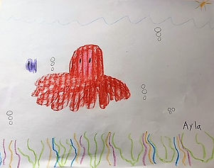 octopus drawing.jpeg