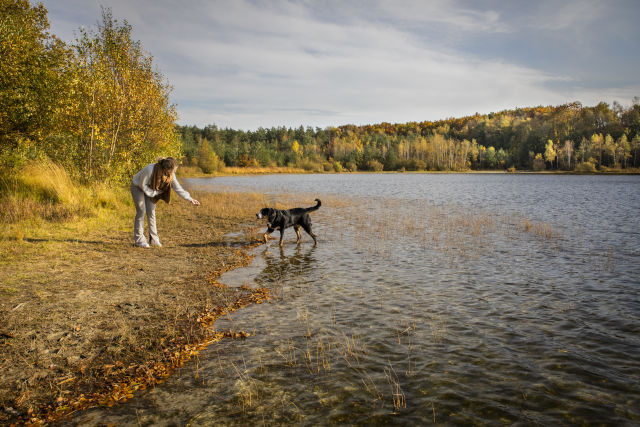 Boven het Canadameer is een spartelvijver speciaal voor honden
