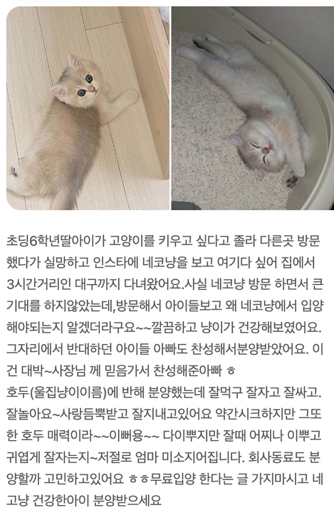 보호자 리얼 후기 (네이버플레이스)