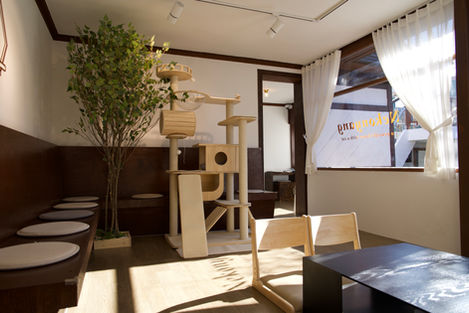 네코냥 상담실 내부