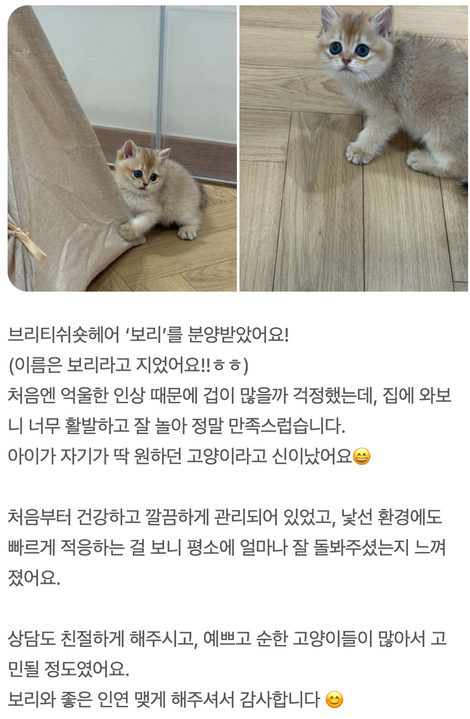 보호자 리얼 후기 (네이버플레이스)