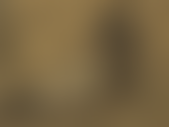 The last two lines enrich our association with the great saint figure Confucius, highlighting Su Shi’s mindset of living a detached life as a commoner.  ..The fire in his spirit went from waning to robust, and to detached in the end, enriched with a cynical taste of self-ridicule humour.  A similar scenario often appears in other artistic forms, particularly in Chinese calligraphy, where even a subtle change in style can reveal some fundamental shifts in the artist’s mental state, as calligraphy can not be disguised with colours or other properties.