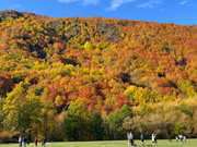 临江仙·彩虹落九天