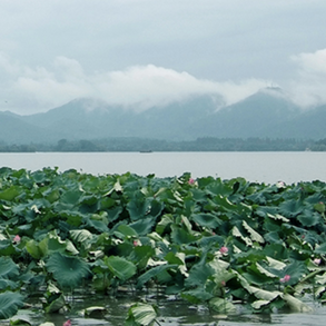 饮湖上初晴后雨 A moment from shine to rain on West Lake