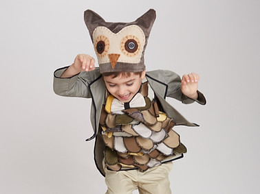 Owl Costume
