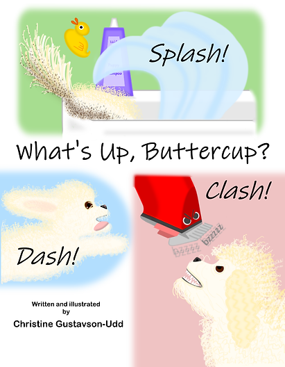 .5CoverBSplashNew.png