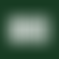 Bike mechanic - Melbourne