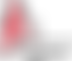 Bike mechanic - Noosaville