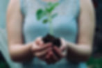 soils for life .jpg