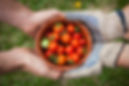 Thankful4Farmers Farmacy.jpg