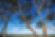Thankful4farmers_Mission_original