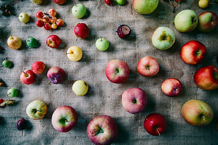 Thankful4Farmers_News_Cornell_CALS_9