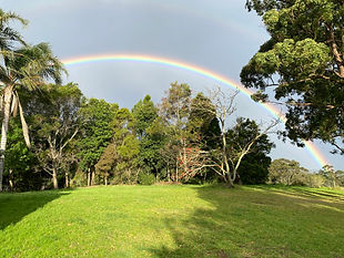 rainbow.jpeg