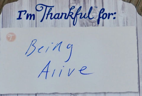 t4life.jpg