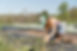 farmer.jpg