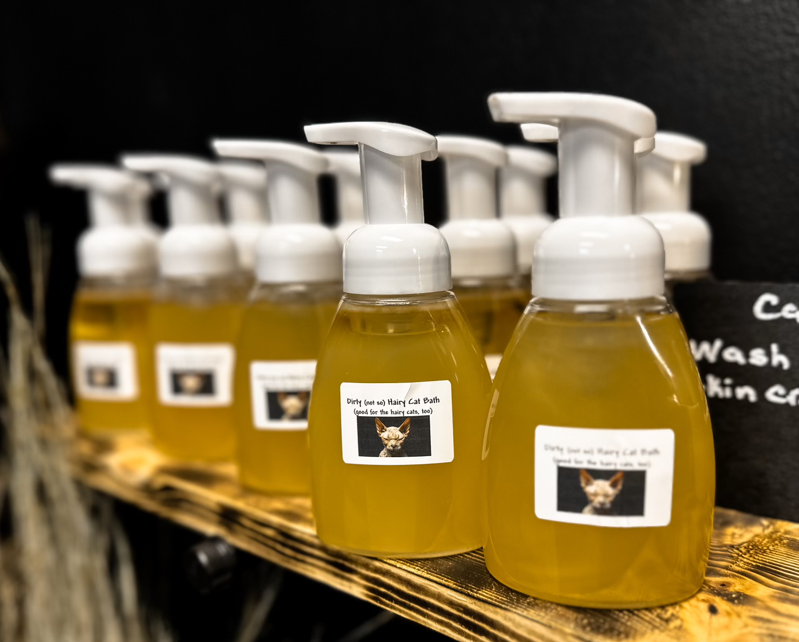 Dirty (not so) Hairy-Cat Bath