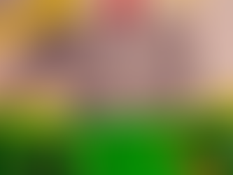 Elmer the Elephant, but not an Elephant