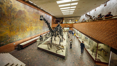 117.jpg